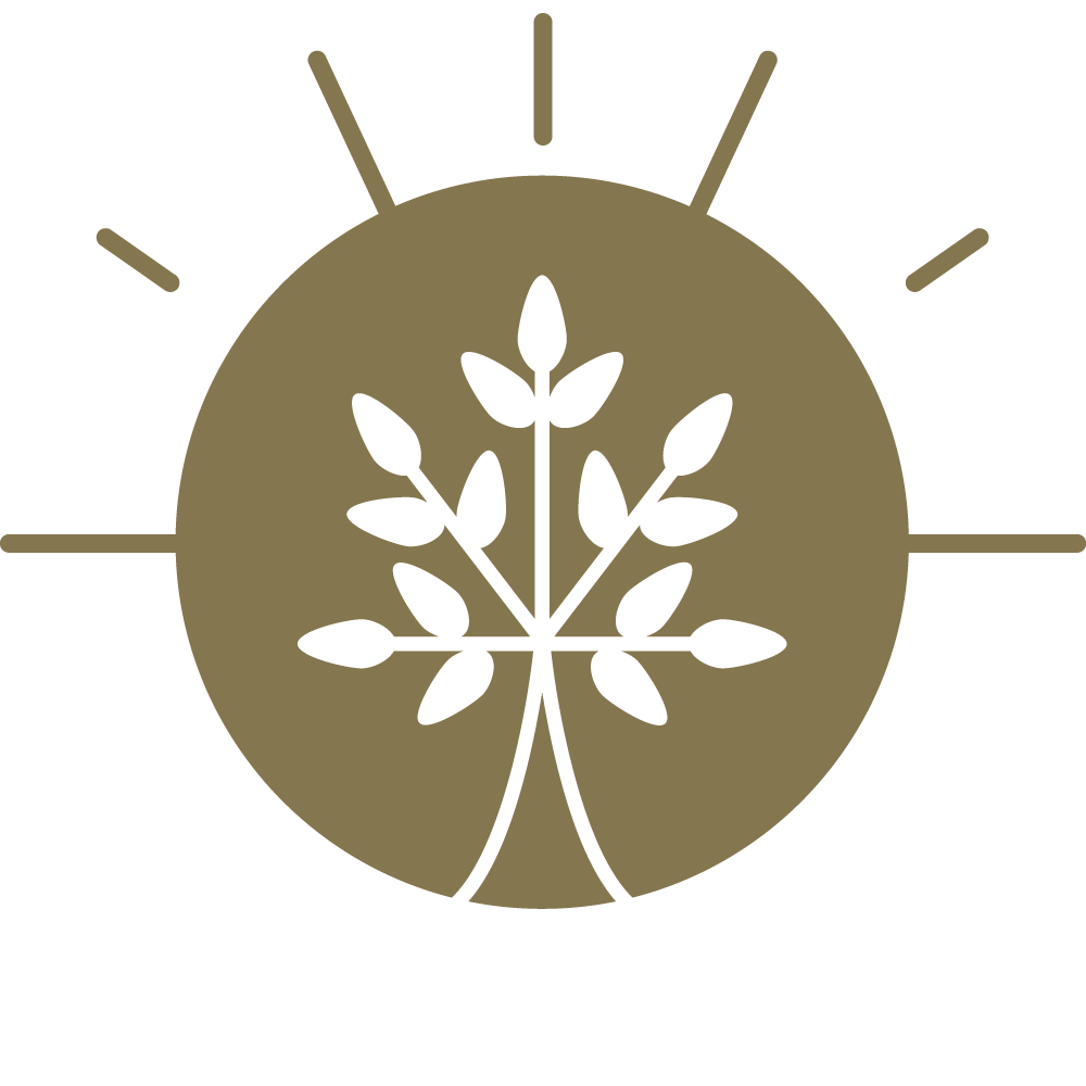 Actual Understanding